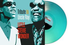 Vinil Tributo a Uncle Ray de Little Stevie Wonder Vinil Tributo a Uncle Ray de Little Stevie Wonder