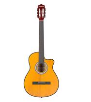 Violão Waldman Eletroacústico Aço FLCE39S AM Violão Waldman Eletroacústico Aço FLCE39S AM