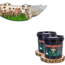 Virgin Mixx Gold Phós 140, Aditivo Mineral Com Promotor 1 Kg Virgin Mixx Gold Phós 140, Aditivo Mineral Com Promotor 1 Kg