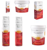 Vita Seiva Cavalo Real Cresce Forte 06 Produtos (Sh/Cond/Masc/Blas/Duo/Adit) Incolor 01 Vita Seiva Cavalo Real Cresce Forte 06 Produtos (Sh/Cond/Masc/Blas/Duo/Adit) Incolor 01