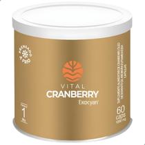 Vital Cranberry Exocyan 60 Cáps - Vital Atman Vital Cranberry Exocyan 60 Cáps - Vital Atman