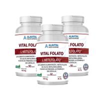 Vital Folato Alavital 90 Cáps Veganas Vitamina B9 Kit com 3 Vital Folato Alavital 90 Cáps Veganas Vitamina B9 Kit com 3