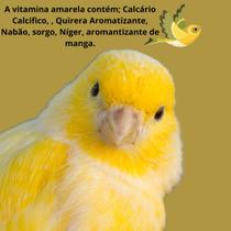 Vitamina Amarela Para Canários - 5Kg E Outros Pássaros Vitamina Vitamínico Para Aves