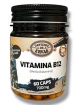 Vitamina B12 canteiro de ervas Vitamina B12 canteiro de ervas