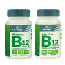 Vitamina B12 Max - 2 Frascos 60 cápsulas (Metilcobalamina) - Chamel