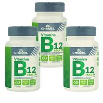 Vitamina B12 Max - 3 Frascos 60 cápsulas (Metilcobalamina) - Chamel Vitamina B12 Max - 3 Frascos 60 cápsulas (Metilcobalamina) - Chamel