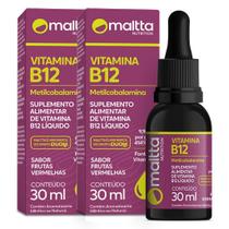 Vitamina B1230Ml Frutas Vermelhas Maltta Kit 02 Unidades