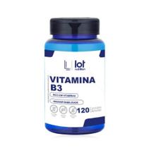 Vitamina B3 Niacina 120 cápsulas Circulação Pele Sistema Nervoso Vitamina B3 Niacina 120 cápsulas Circulação Pele Sistema Nervoso