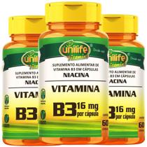Vitamina B3 Niacina Vegana 60 cápsulas de 500mg Kit com 3 Vitamina B3 Niacina Vegana 60 cápsulas de 500mg Kit com 3