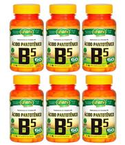 Vitamina B5 Ácido Pantotênico 60 Cápsulas 500mg Unilife 6uni
