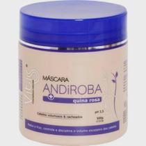 Vitiss Máscara 500g Andiroba