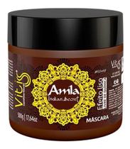 Vitiss Mascara De Hidratacao Efeito Liso Amla 500g Vitiss Mascara De Hidratacao Efeito Liso Amla 500g