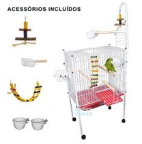 Viveiro Papagaio Pássaros Completo Bragança Luxo Teto Reto