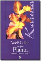 Você Colhe o Que Planta - TEOSOFICA Você Colhe o Que Planta - TEOSOFICA