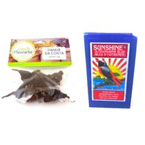 Wagi Africano Danda da Costa Quebra Demanda Inveja Proteção Espiritual Amor Kit