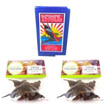 Wagi Africano Original Sunshine Proteção Ansiedade Danda da Costa Raiz Ervas Kit