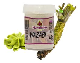 Wasabi Em Pó Raiz Forte Pote Mundialho 45g Wasabi Em Pó Raiz Forte Pote Mundialho 45g