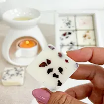 Wax Melt Kit Degustação Coleção Essencial vela terapeutica 100g Wax Melt Kit Degustação Coleção Essencial vela terapeutica 100g