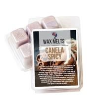 Wax Melts: A Melhor Forma de Aromatizar Sua Casa!