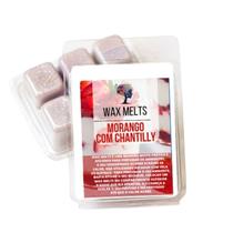 Wax Melts: A Melhor Forma de Aromatizar Sua Casa!