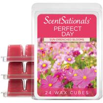 Wax Melts Scentsationals Perfect Day 300 ml (24 cubos)
