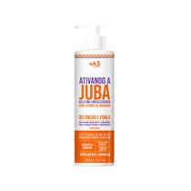 Wd - ativando a juba gelatina fortalecedora - 300 g - Widi Care