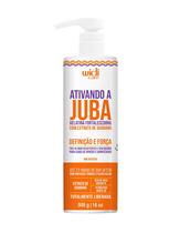 Wd - ativando a juba gelatina fortalecedora - 500 g - Widi Care