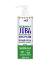 Wd - modelando a juba gelatina super volume - 500 g
