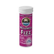 Wellness Fizz Tangerine 10 wafers da Source Naturals (pacote com 6)