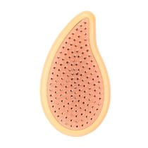 Wetbrush Palm Escova De Cabelo Desembaracadora Laranja Claro