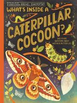 What's inside a caterpillar cocoon What's inside a caterpillar cocoon