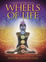 Wheels of life - LLEWELLYN PUB