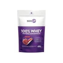 Whey Protein 100% Proteína Concentrada Sabor Morango Refil 480g Size Up