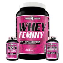 Whey Protein Proteína + Testo Feminino Natural Vitaminas e Minerais + Colageno Tipo 1 Com Vitamina C e VitaminaEBetacaroteno
