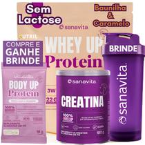 Whey Protein UP SANAVITA 3W Isolado Concentrado Hidrolisado + Creatina Monohidratada 100g + Coqueteleira - Kit Suplemento de Proteína