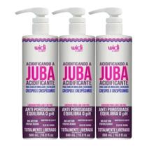 Widi Care Acidificando A Juba Kit 3 Acidificante 500ml