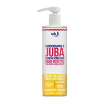 Widi Care Condicionando a Juba Condicionador Hidro-nutritivo 500 Ml Widi Care Condicionando a Juba Condicionador Hidro-nutritivo 500 Ml