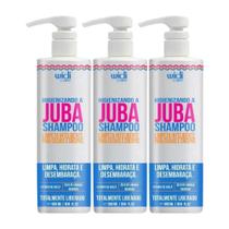 Widi Care Higienizando A Juba Kit 3 Shampoo 500ml Widi Care Higienizando A Juba Kit 3 Shampoo 500ml