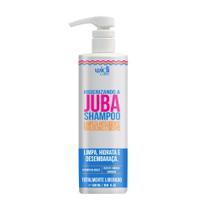 Widi Care Higienizando a Juba Shampoo 500ml