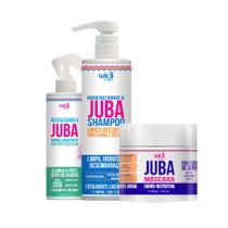 Widi Care Kit Revitalizando a Juba Trio Tratamento (3 Produtos)
