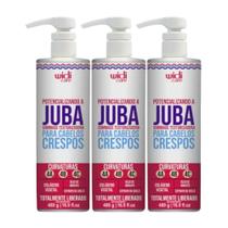 Widi Care Potencializando A Juba Kit 3 Texturizadora 480g