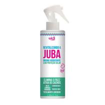 Widi Care Revitalizando a Juba Bruma Hidratante - 300ml