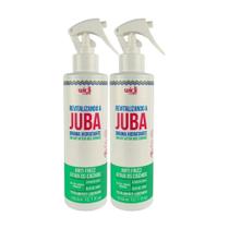 Widi Care Revitalizando A Juba Kit 2 Bruma Hidratante 300ml