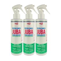 Widi Care Revitalizando A Juba Kit 3 Bruma Hidratante 300ml