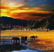 Wild Horses New Age Renditions Of Rolling Stones CD - EMI MUSIC