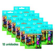 Winner Lápis de Cor Pequeno 12 Unidades com 12 Cores cada