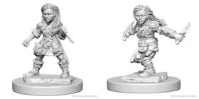 WizKids Dungeons & Dragons Halfling Female Rogue em miniatura de Nolzur WizKids Dungeons & Dragons Halfling Female Rogue em miniatura de Nolzur
