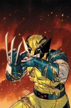 Wolverine (2025) - Vol. 06