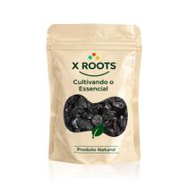 X Roots Ameixa Sem Caroço Premium 1kg Fruta Seca Natural, Fonte de Fibras e Energia X Roots Ameixa Sem Caroço Premium 1kg Fruta Seca Natural, Fonte de Fibras e Energia