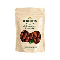 X Roots Tâmara Sem Caroço 500g Fruta Seca Natural para Snacks, Receitas e Lanches